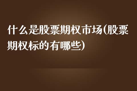 什么是股票期权市场(股票期权标的有哪些)_https://www.gzshoujun.com_期货知识_第1张