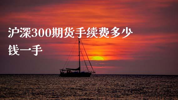 沪深300期货手续费多少钱一手_https://www.gzshoujun.com_期货开户_第1张