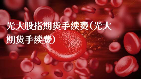 光大股指期货手续费(光大期货手续费)_https://www.gzshoujun.com_期货公司_第1张