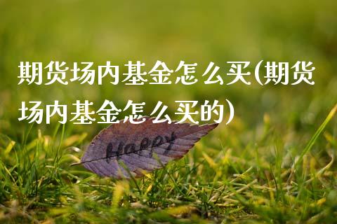 期货场内基金怎么买(期货场内基金怎么买的)_https://www.gzshoujun.com_道指期货_第1张