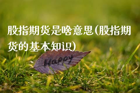 股指期货是啥意思(股指期货的基本知识)_https://www.gzshoujun.com_农产品期货_第1张