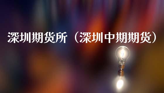 深圳期货所（深圳中期期货）_https://www.gzshoujun.com_期货品种_第1张