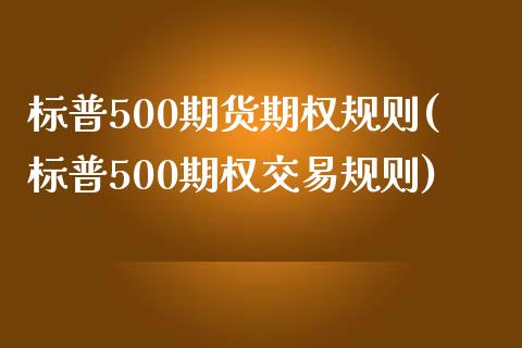 标普500期货期权规则(标普500期权交易规则)_https://www.gzshoujun.com_期货直播_第1张