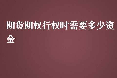 期货期权行权时需要多少资金_https://www.gzshoujun.com_期货交易所_第1张