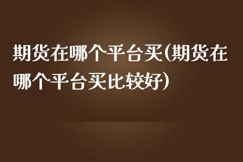 期货在哪个平台买(期货在哪个平台买比较好)_https://www.gzshoujun.com_期货开户_第1张