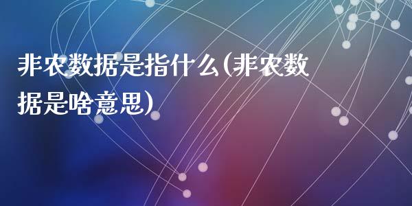 非农数据是指什么(非农数据是啥意思)_https://www.gzshoujun.com_原油期货_第1张