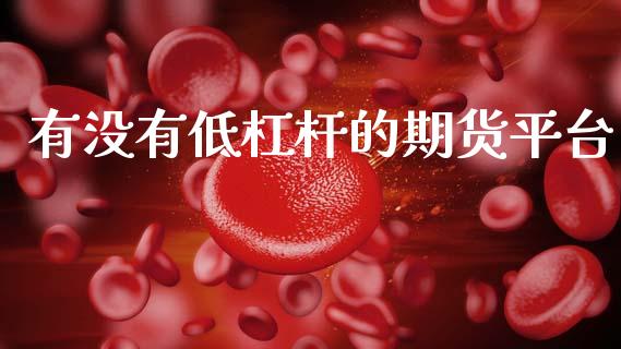 有没有低杠杆的期货平台_https://www.gzshoujun.com_期货开户_第1张