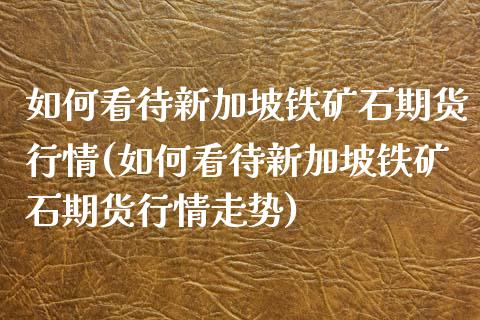 如何看待新加坡铁矿石期货行情(如何看待新加坡铁矿石期货行情走势)_https://www.gzshoujun.com_期货品种_第1张