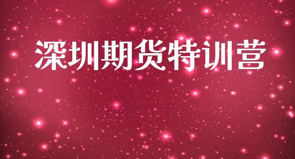 深圳期货特训营_https://www.gzshoujun.com_期货开户_第1张