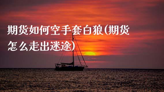期货如何空手套白狼(期货怎么走出迷途)_https://www.gzshoujun.com_期货入门_第1张