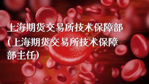 上海期货交易所技术保障部(上海期货交易所技术保障部主任)_https://www.gzshoujun.com_期货开户_第1张