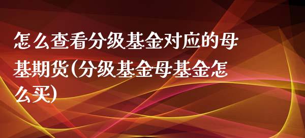 怎么查看分级基金对应的母基期货(分级基金母基金怎么买)_https://www.gzshoujun.com_期货交易所_第1张