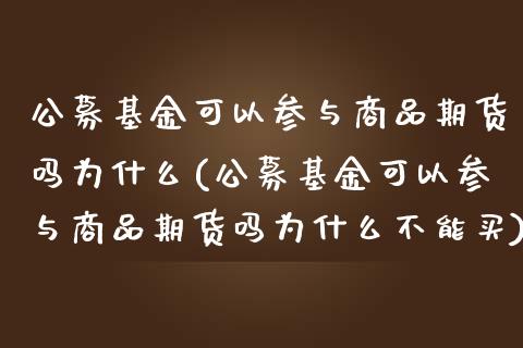 公募基金可以参与商品期货吗为什么(公募基金可以参与商品期货吗为什么不能买)_https://www.gzshoujun.com_期货直播_第1张
