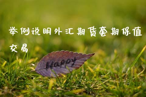 举例说明外汇期货套期保值交易_https://www.gzshoujun.com_期货交易所_第1张