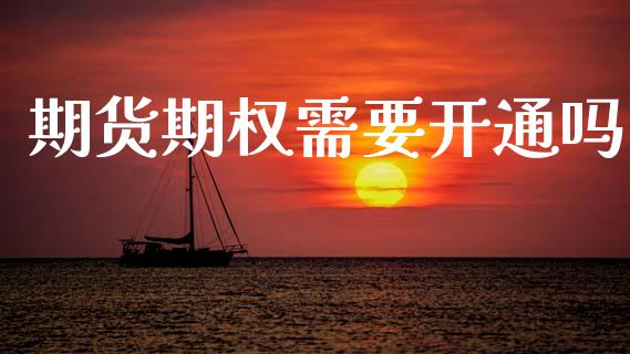 期货期权需要开通吗_https://www.gzshoujun.com_农产品期货_第1张