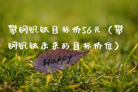 攀钢钒钛目标价56元（攀钢钒钛未来的目标价位）_https://www.gzshoujun.com_期货品种_第1张