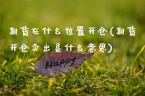期货在什么位置开仓(期货开仓卖出是什么意思)_https://www.gzshoujun.com_基金理财_第1张