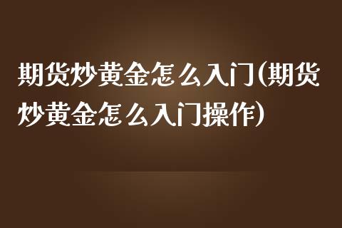 期货炒黄金怎么入门(期货炒黄金怎么入门操作)_https://www.gzshoujun.com_期货直播_第1张