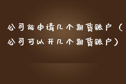 能申请几个期货账户（可以开几个期货账户）_https://www.gzshoujun.com_期货品种_第1张