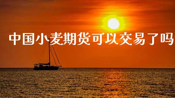 中国小麦期货可以交易了吗_https://www.gzshoujun.com_农产品期货_第1张