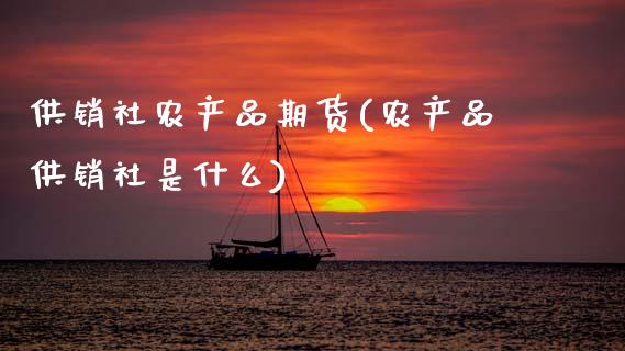 供销社农产品期货(农产品供销社是什么)_https://www.gzshoujun.com_期货直播_第1张