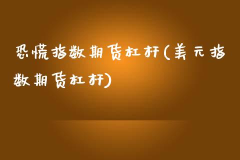 恐慌指数期货杠杆(美元指数期货杠杆)_https://www.gzshoujun.com_期货品种_第1张