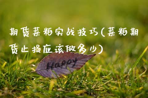 期货菜粕实战技巧(菜粕期货止损应该做多少)_https://www.gzshoujun.com_期货品种_第1张