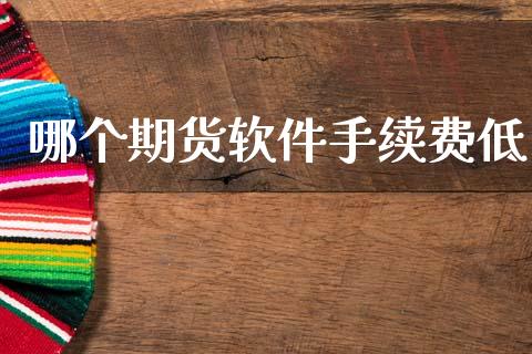 哪个期货软件手续费低_https://www.gzshoujun.com_期货开户_第1张
