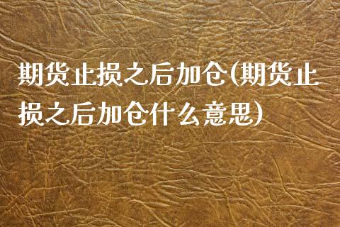 期货止损之后加仓(期货止损之后加仓什么意思)_https://www.gzshoujun.com_期货直播_第1张