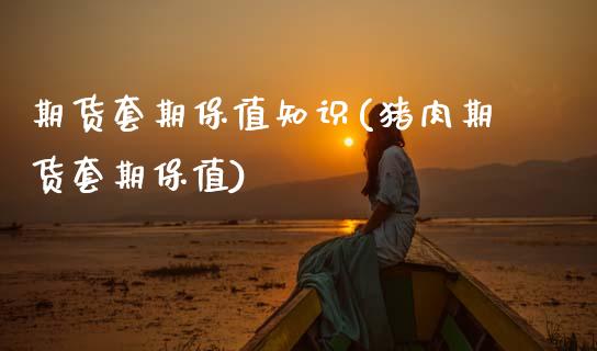 期货套期保值知识(猪肉期货套期保值)_https://www.gzshoujun.com_期货直播_第1张