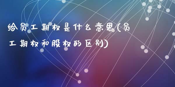 给员工期权是什么意思(员工期权和股权的区别)_https://www.gzshoujun.com_原油期货_第1张