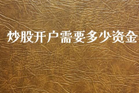 炒股开户需要多少资金_https://www.gzshoujun.com_期货交易所_第1张