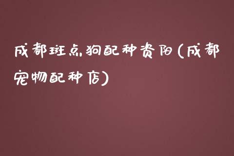 成都斑点狗配种资阳(成都宠物配种店)_https://www.gzshoujun.com_期货学院_第1张