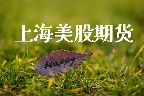 上海美股期货_https://www.gzshoujun.com_期货开户_第1张