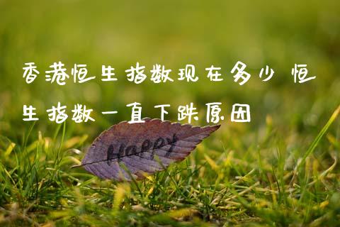香港恒生指数现在多少 恒生指数一直下跌原因_https://www.gzshoujun.com_期货交易所_第1张