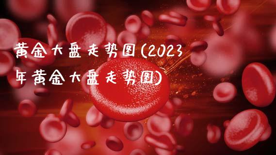 黄金大盘走势图(2023年黄金大盘走势图)_https://www.gzshoujun.com_期货入门_第1张