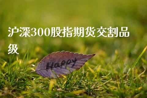 沪深300股指期货交割品级_https://www.gzshoujun.com_期货行情_第1张