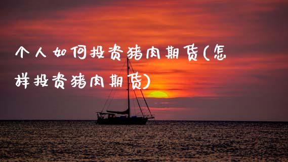 个人如何投资猪肉期货(怎样投资猪肉期货)_https://www.gzshoujun.com_技术分析_第1张