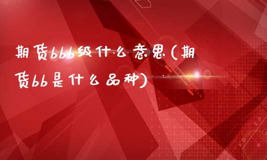期货bbb级什么意思(期货bb是什么品种)_https://www.gzshoujun.com_期货交易所_第1张