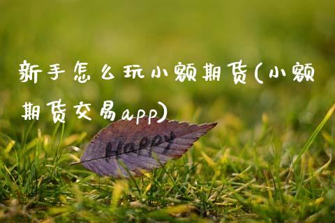 新手怎么玩小额期货(小额期货交易app)_https://www.gzshoujun.com_国际期货_第1张