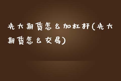 光大期货怎么加杠杆(光大期货怎么交易)_https://www.gzshoujun.com_期货品种_第1张