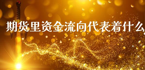 期货里资金流向代表着什么_https://www.gzshoujun.com_农产品期货_第1张