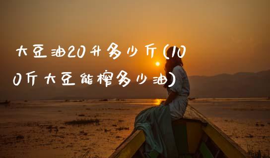 大豆油20升多少斤(100斤大豆能榨多少油)_https://www.gzshoujun.com_期货入门_第1张
