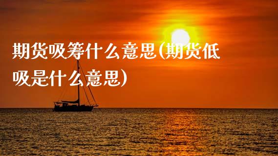 期货吸筹什么意思(期货低吸是什么意思)_https://www.gzshoujun.com_期货品种_第1张