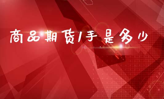 商品期货1手是多少_https://www.gzshoujun.com_农产品期货_第1张