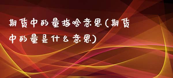 期货中的量指啥意思(期货中的量是什么意思)_https://www.gzshoujun.com_德指期货_第1张