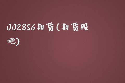 002856期货(期货股吧)_https://www.gzshoujun.com_期货品种_第1张