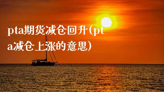 pta期货减仓回升(pta减仓上涨的意思)_https://www.gzshoujun.com_期货直播_第1张