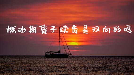 燃油期货手续费是双向的吗_https://www.gzshoujun.com_农产品期货_第1张