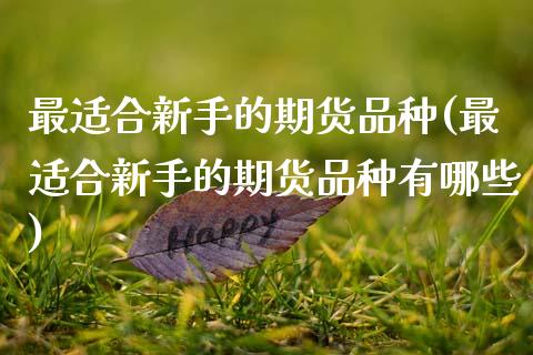 最适合新手的期货品种(最适合新手的期货品种有哪些)_https://www.gzshoujun.com_期货交易所_第1张